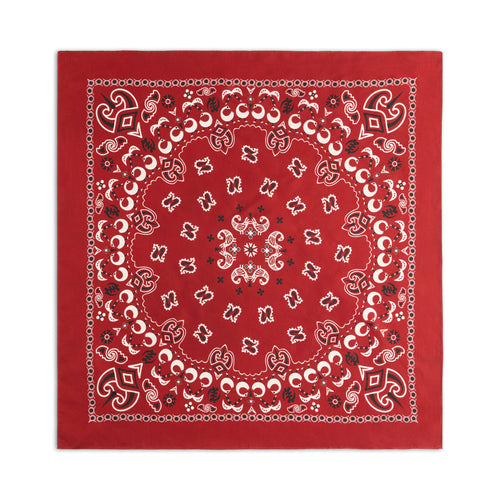 Adinkra Paisley Silk Bandana